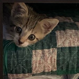 Meet your Posher, Lisa